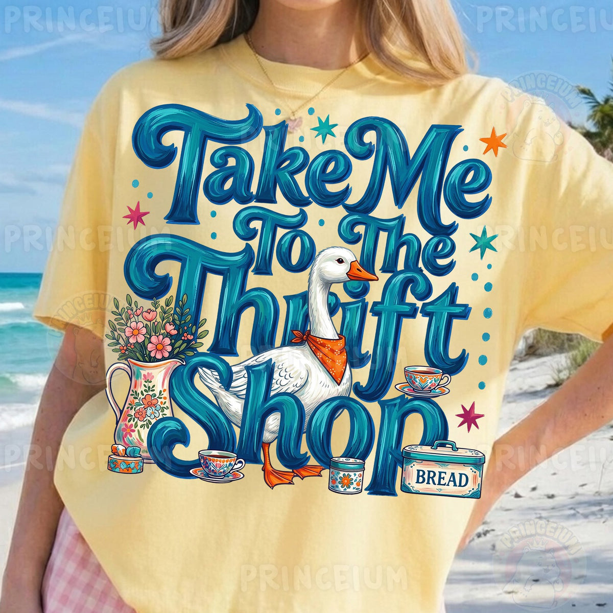 Take Me To The Thrift Shop
