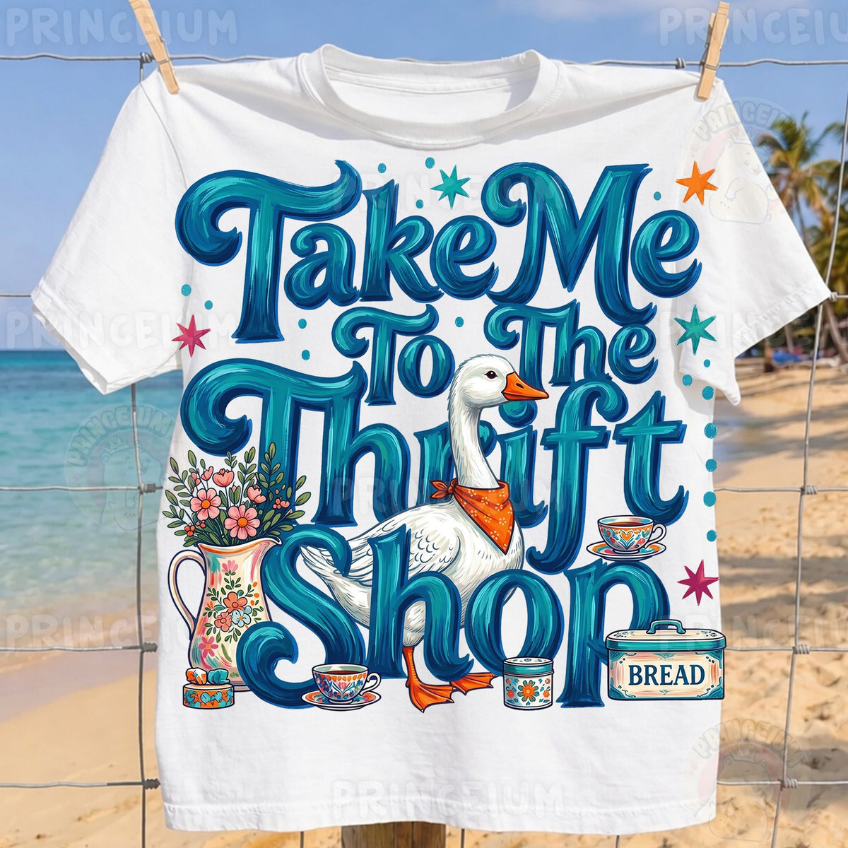 Take Me To The Thrift Shop