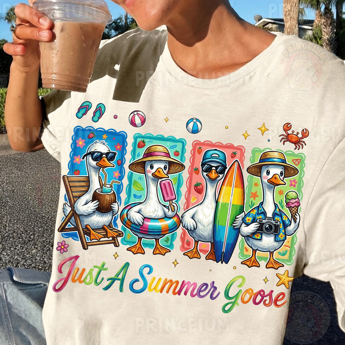 Just A Summer Goose