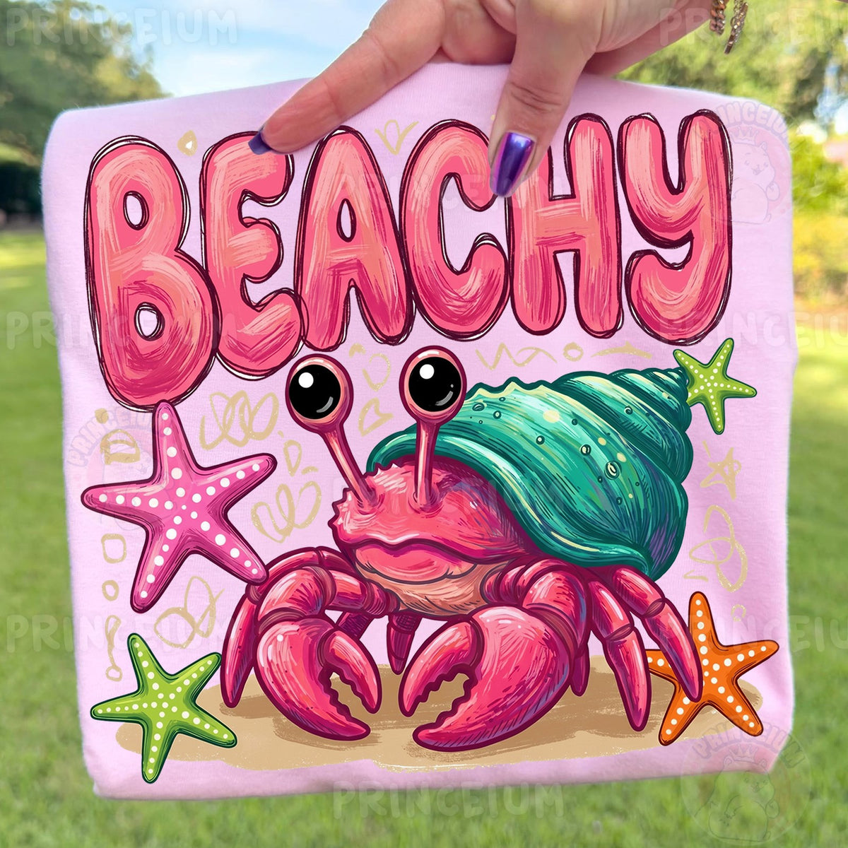 Beachy Hermit Crab