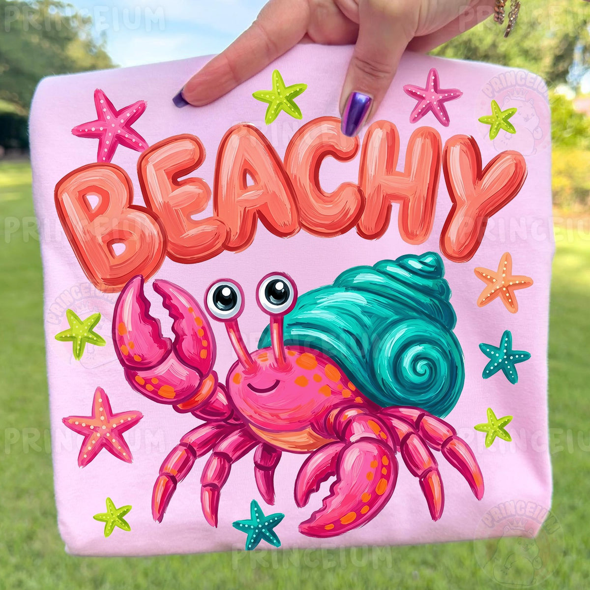 Beachy Hermit Crab