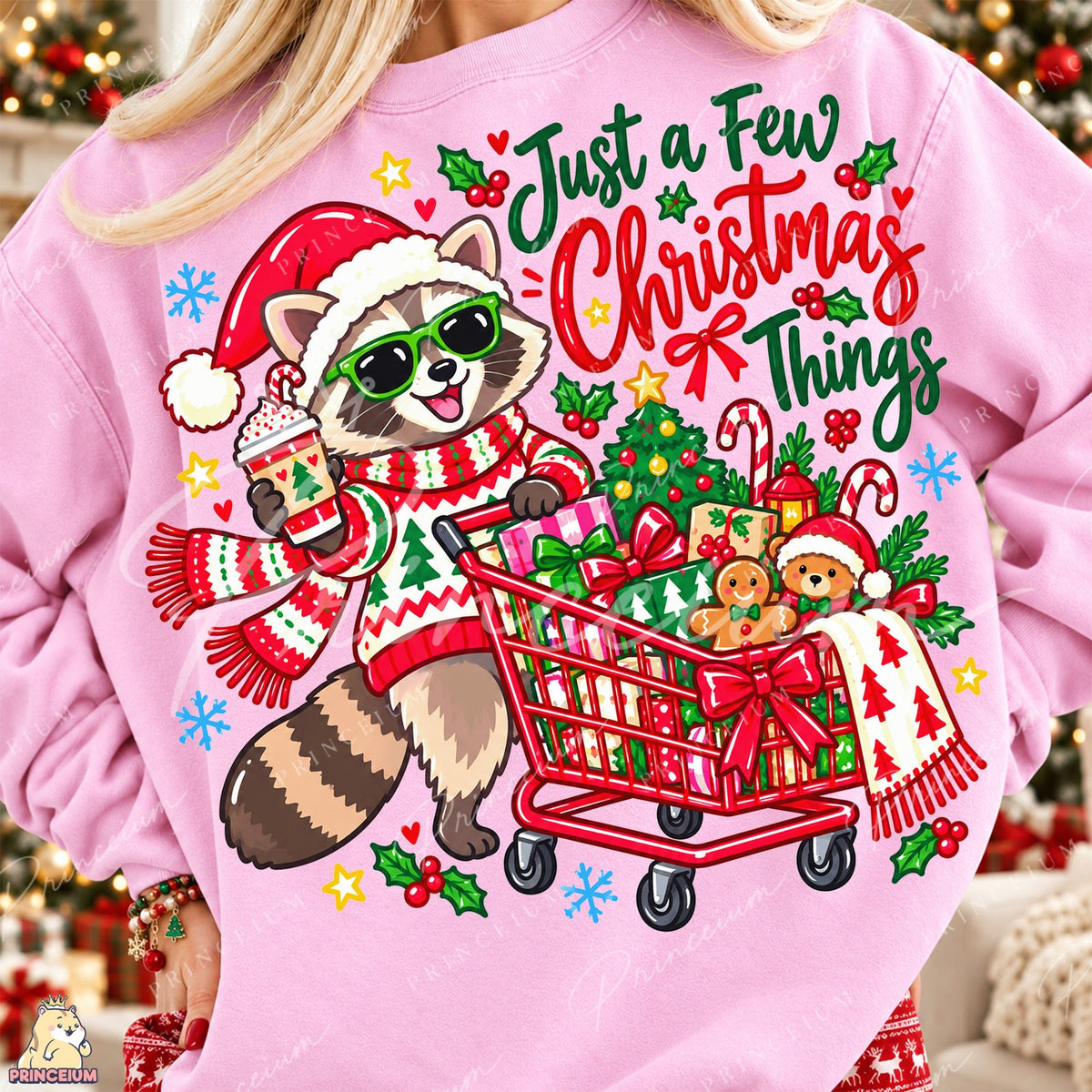 Santa Raccoon Christmas Shopping Front and Back