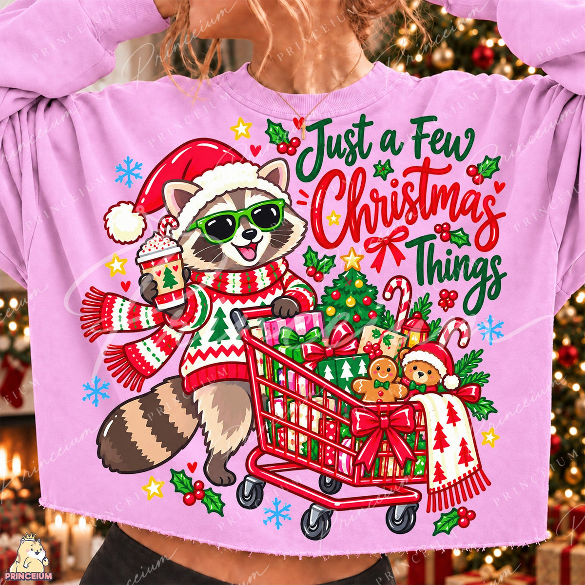 Santa Raccoon Christmas Shopping Front and Back