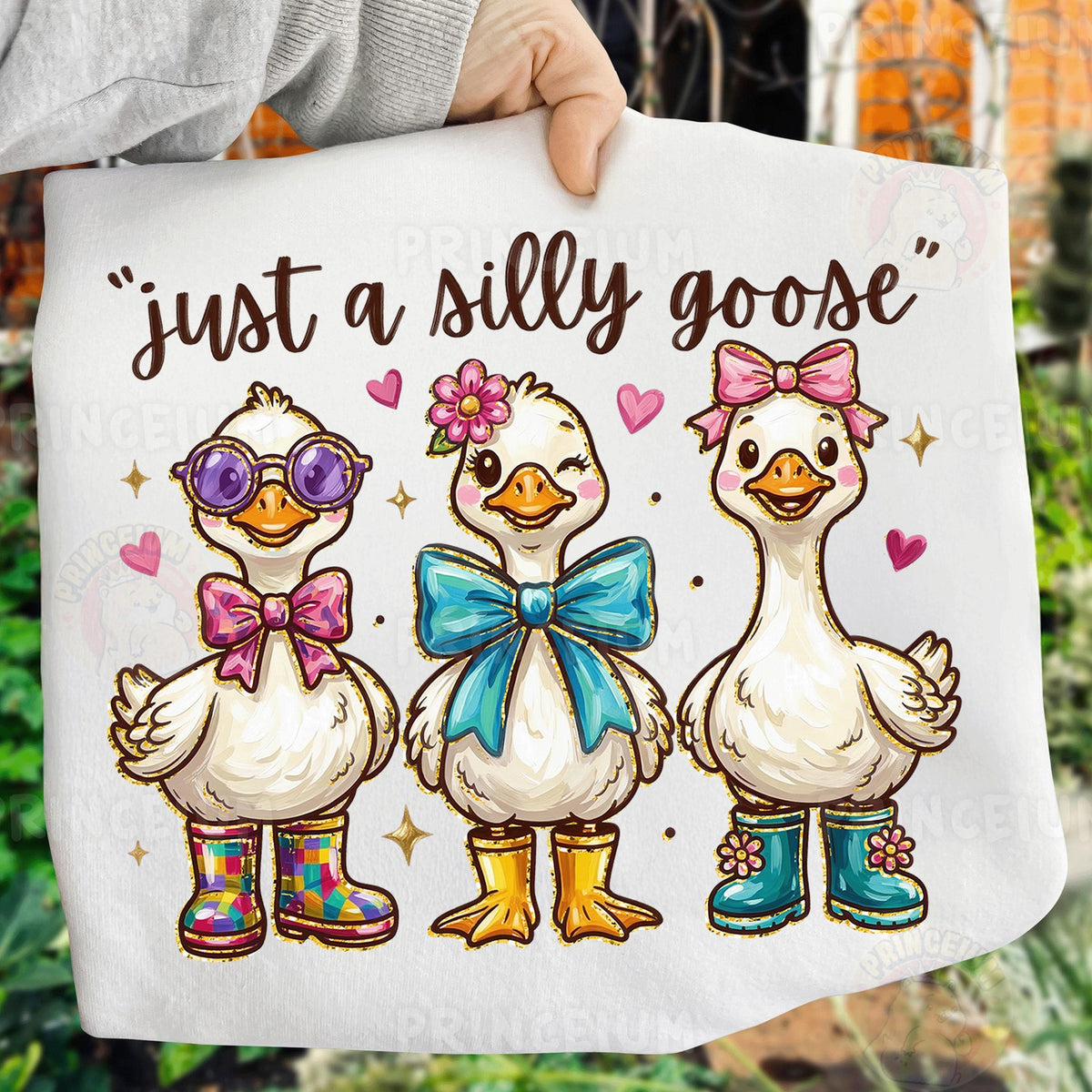 Just a Silly Goose