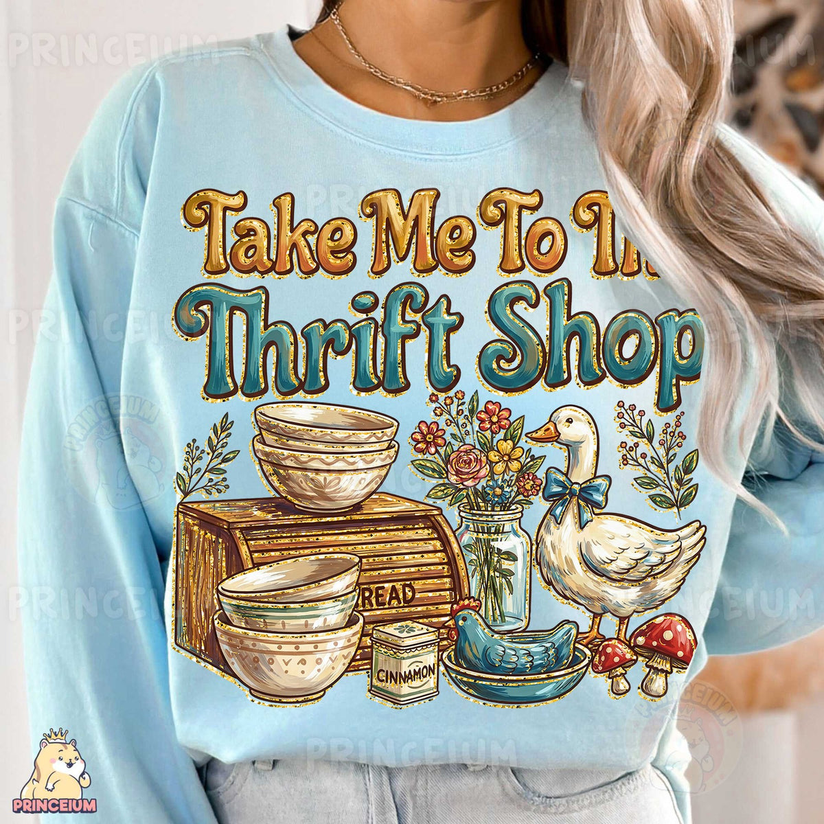 Take Me To The Thrift Shop