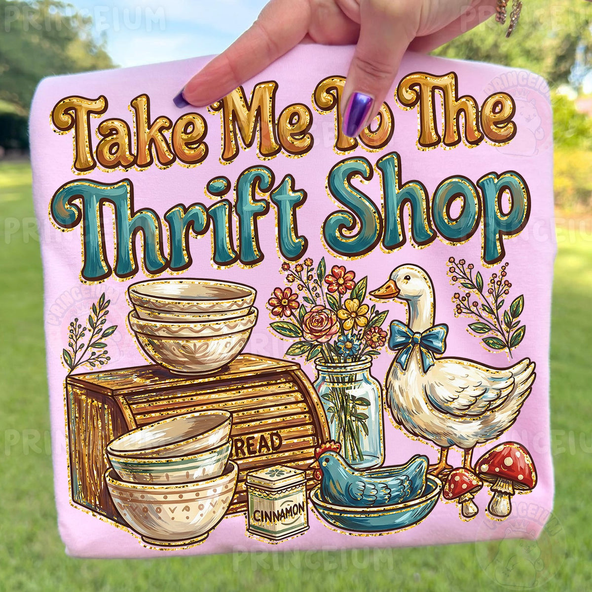 Take Me To The Thrift Shop