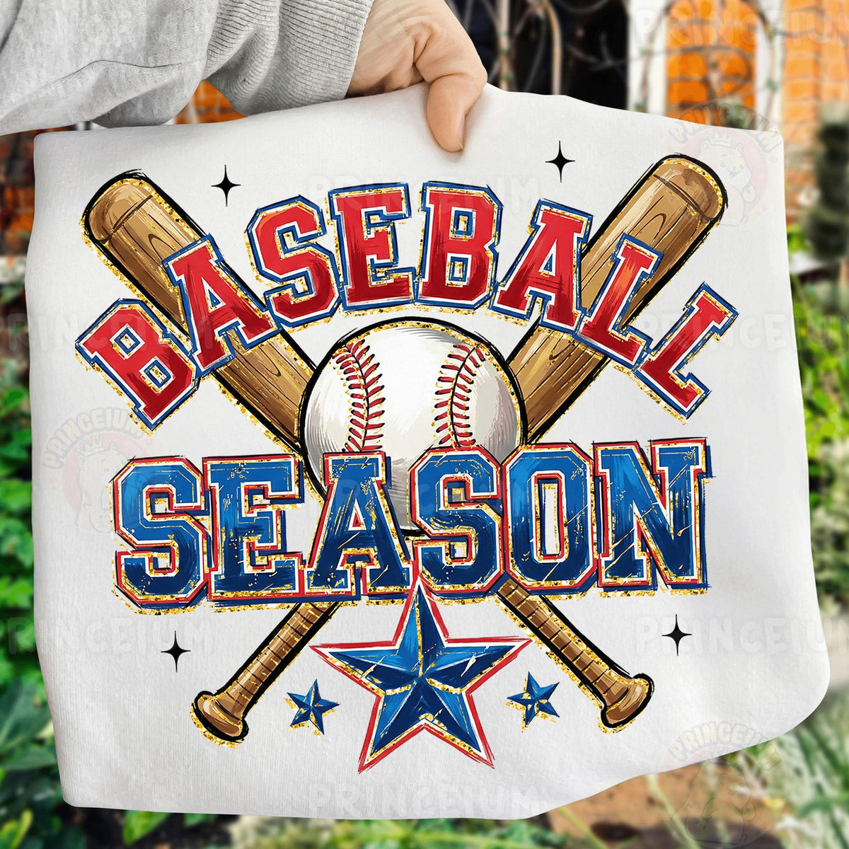 Baseball Season
