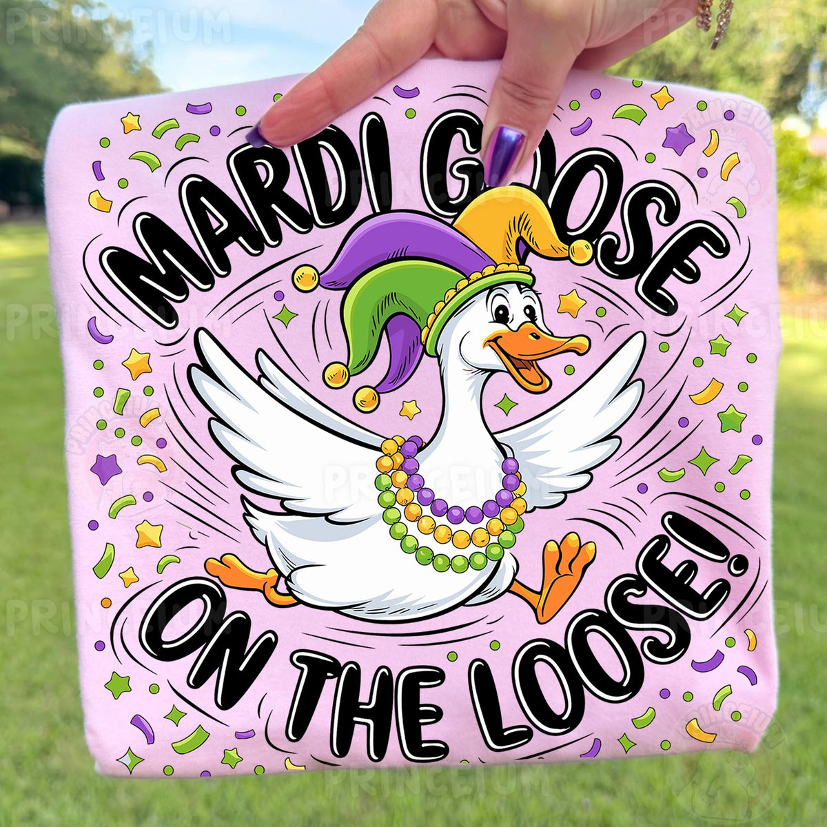 Mardi Goose on the Loose
