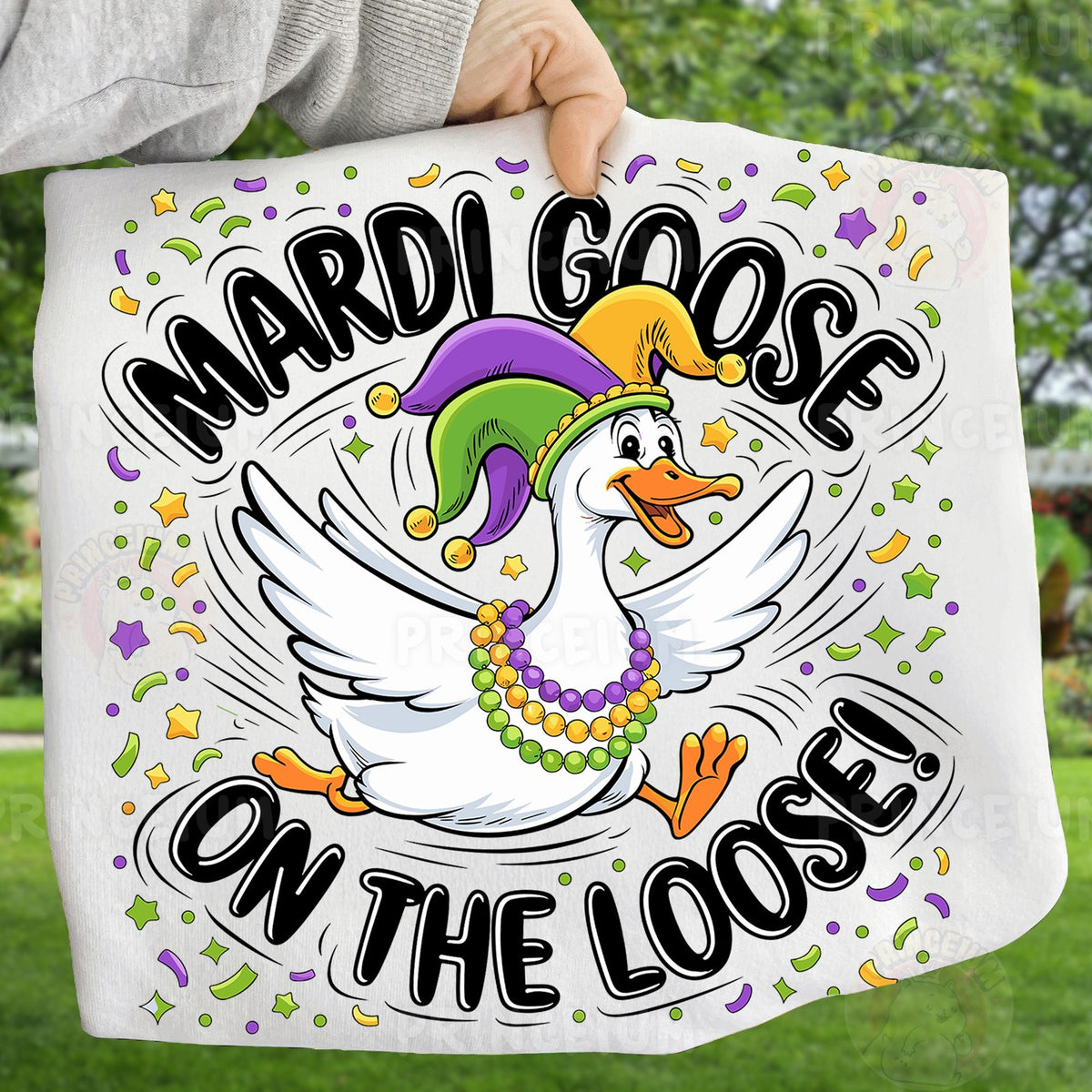 Mardi Goose on the Loose