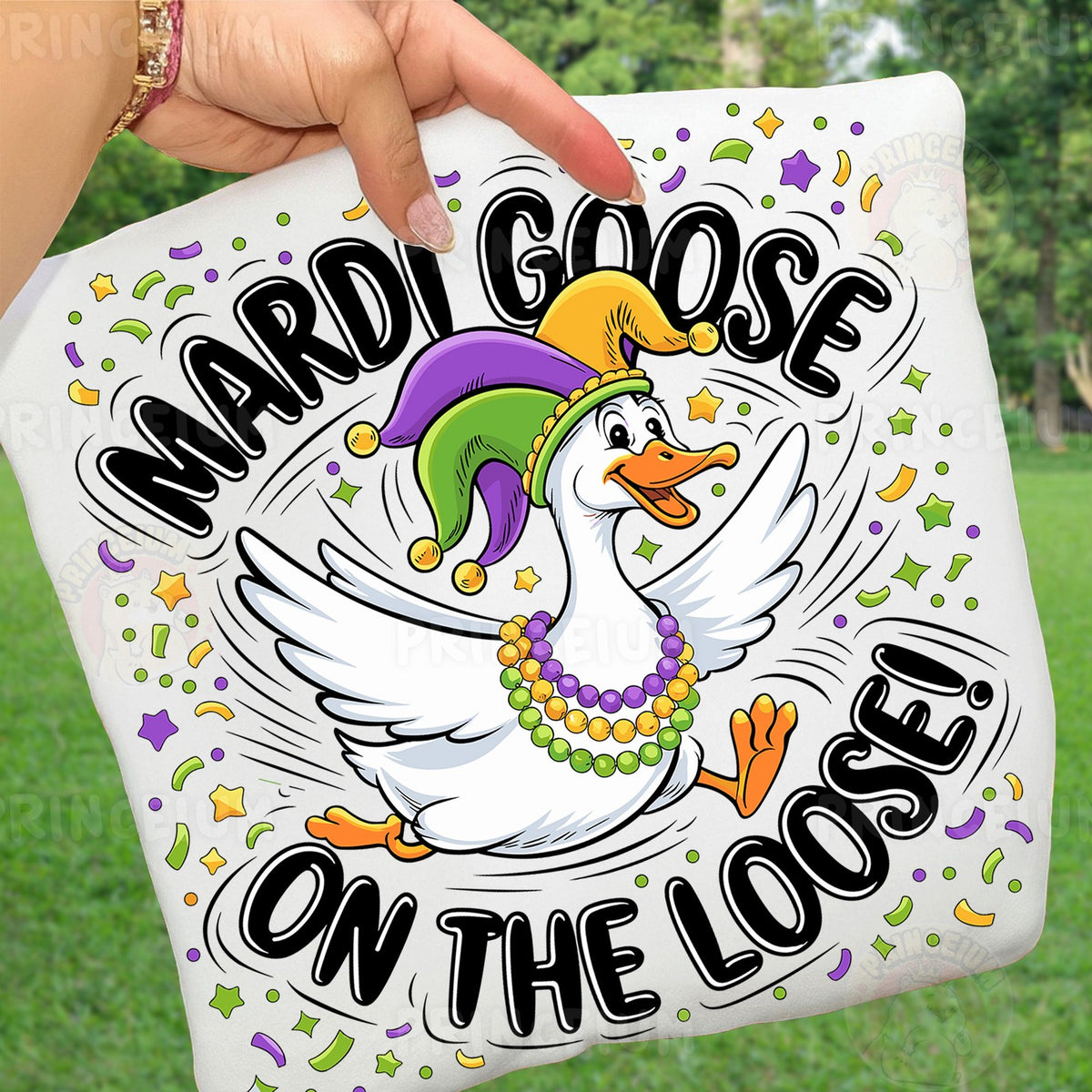 Mardi Goose on the Loose