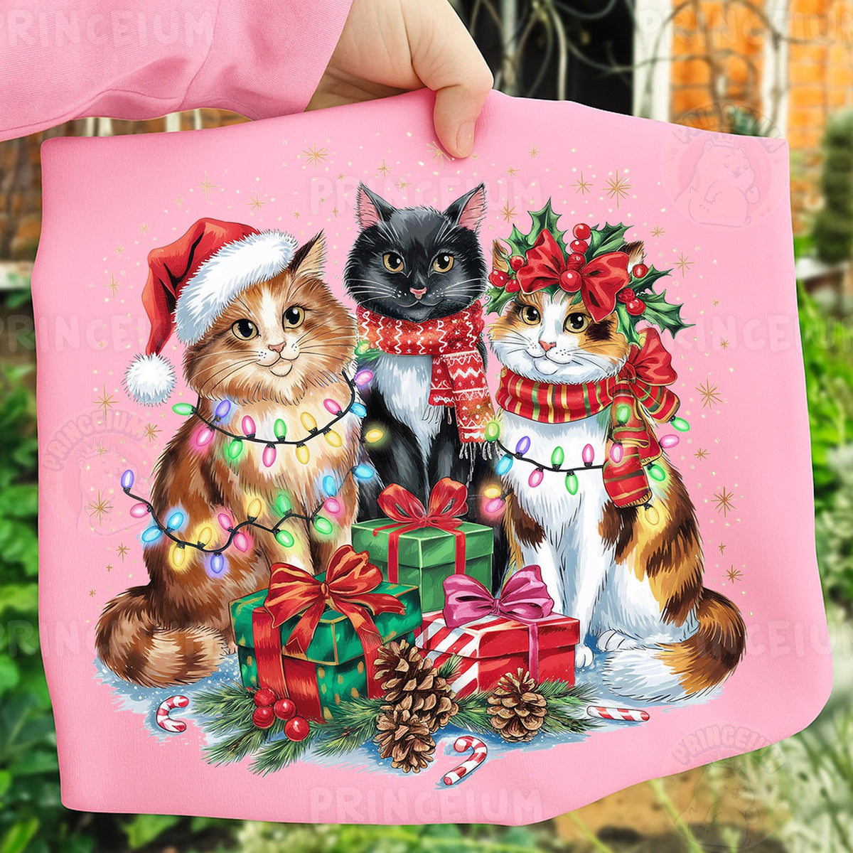 Christmas Cats with Lights