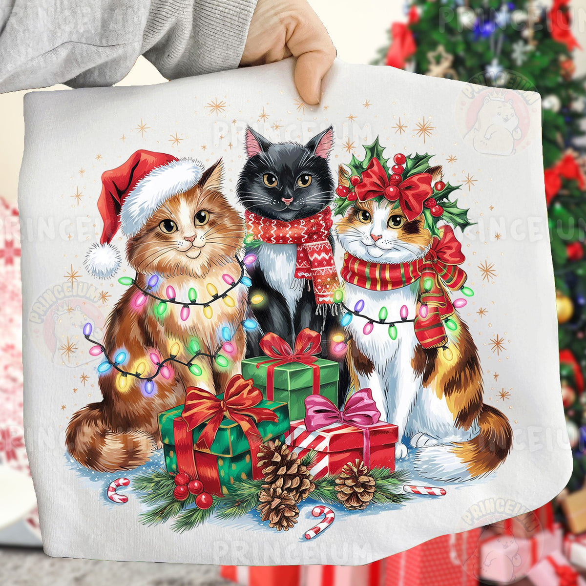 Christmas Cats with Lights