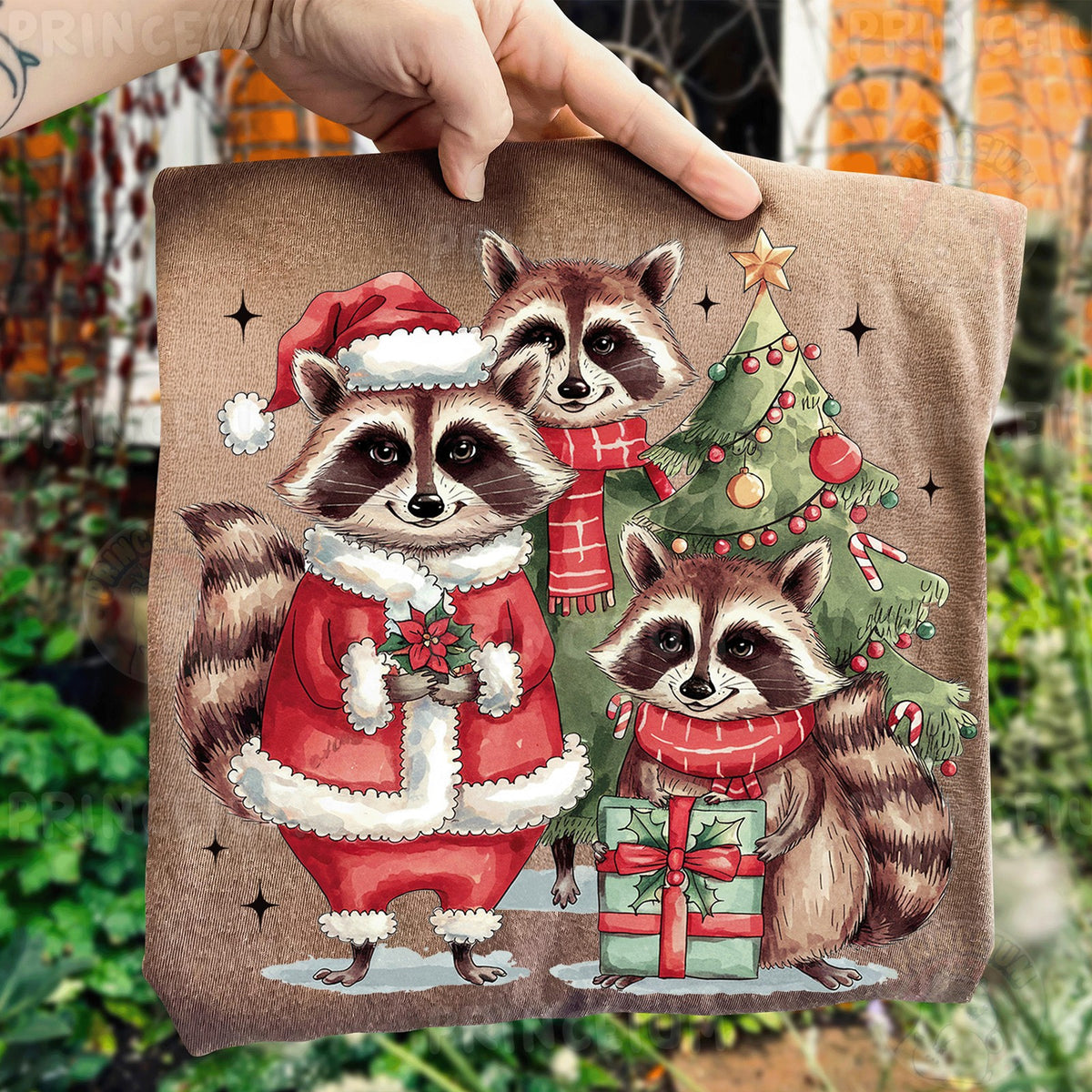 Santa Raccoon Christmas Trio