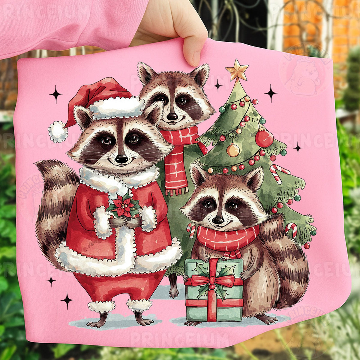 Santa Raccoon Christmas Trio