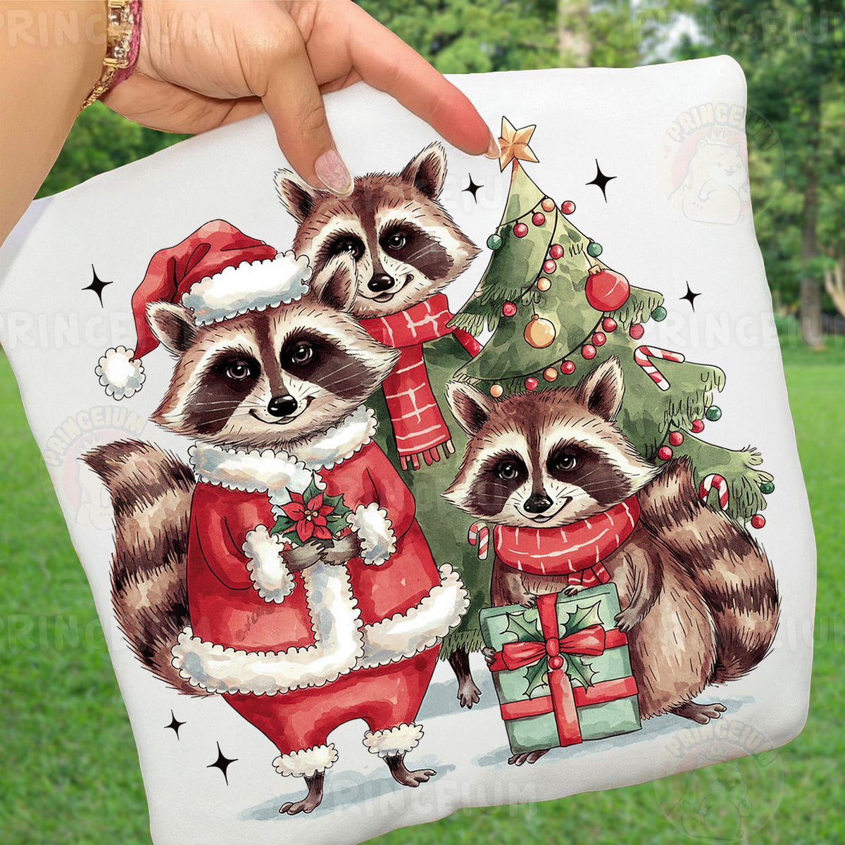 Santa Raccoon Christmas Trio