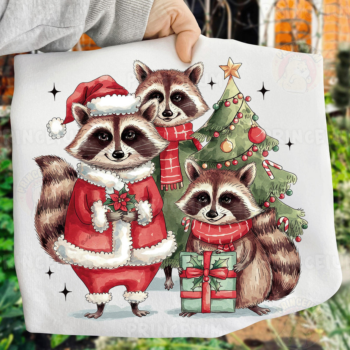 Santa Raccoon Christmas Trio