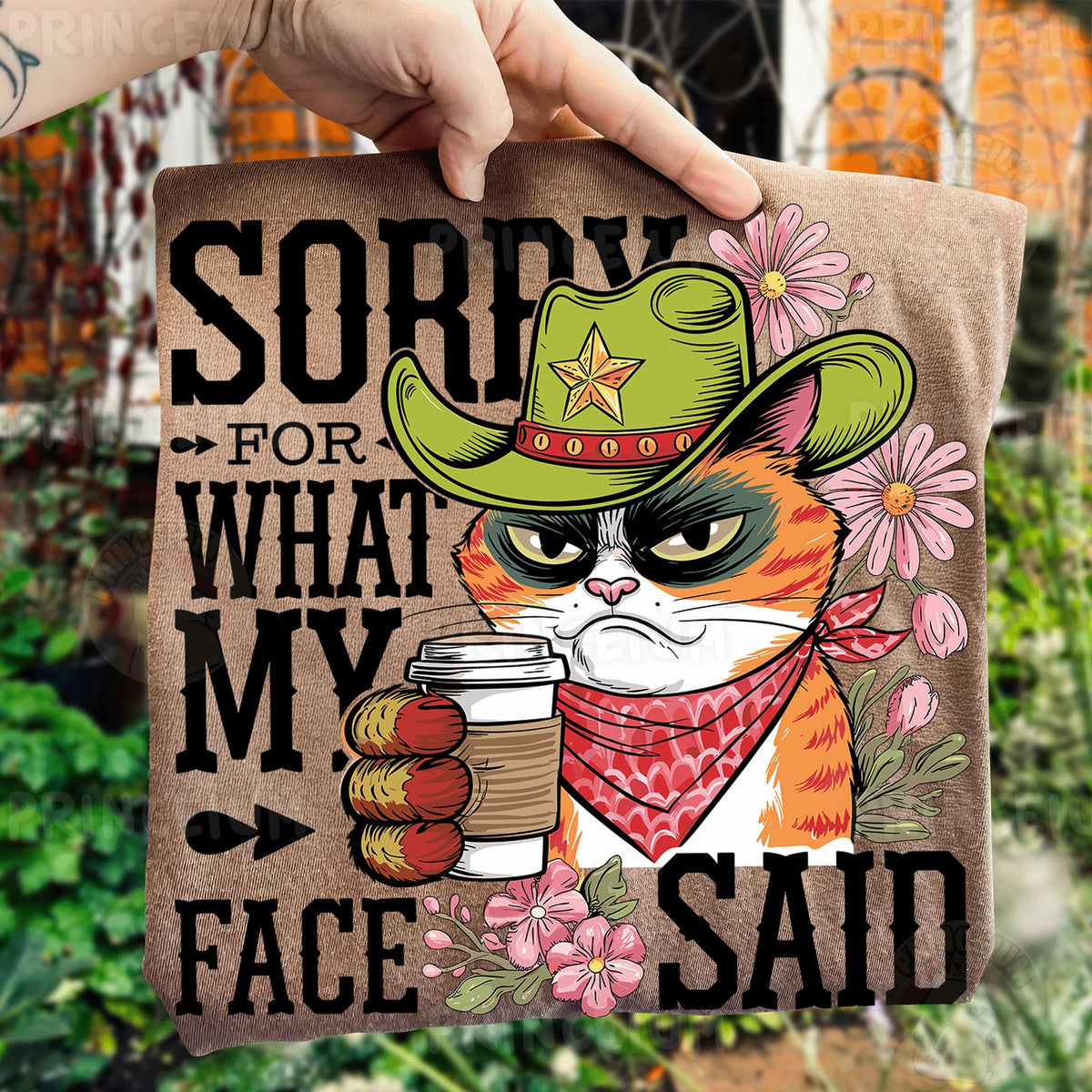 Sorry For What My Face Said