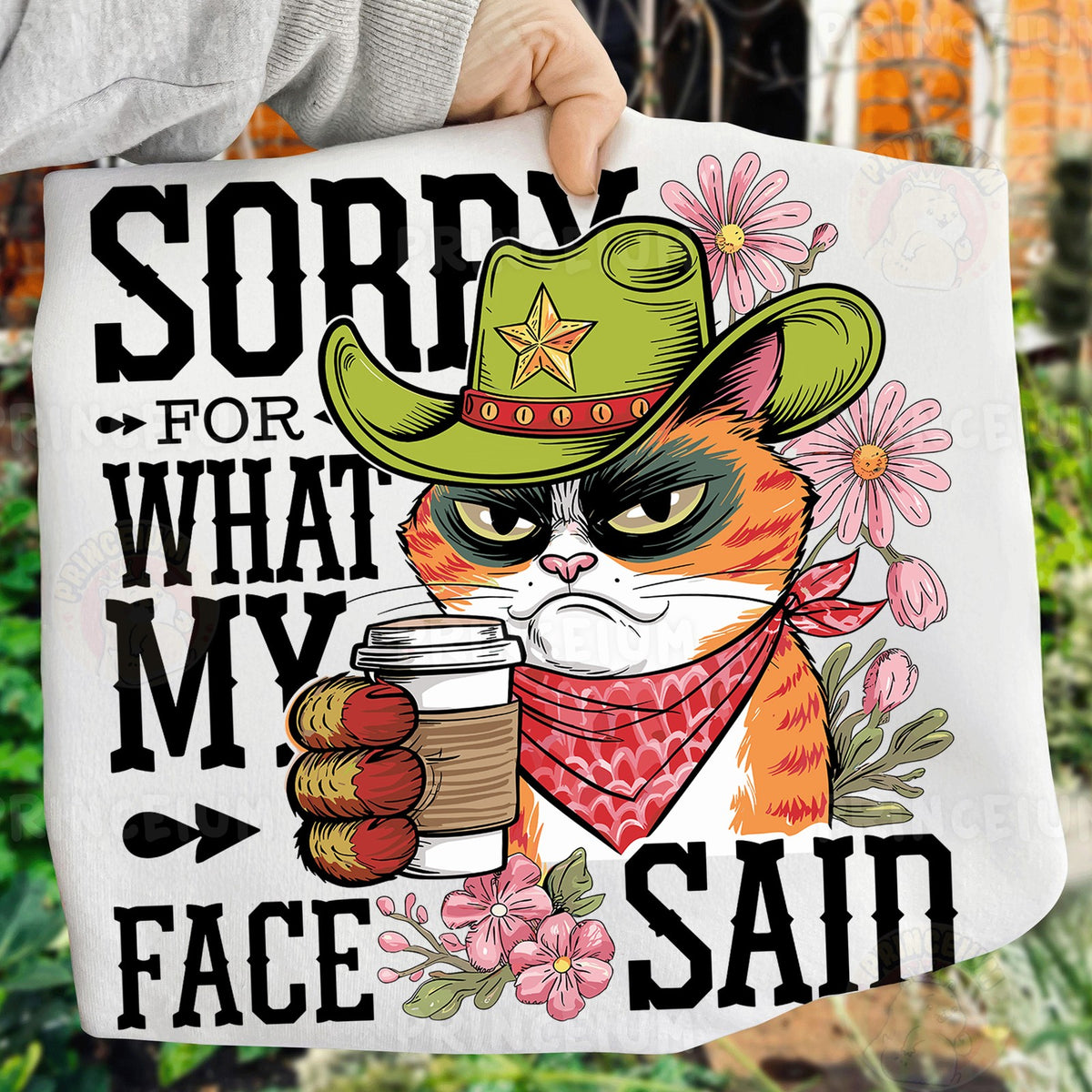 Sorry For What My Face Said