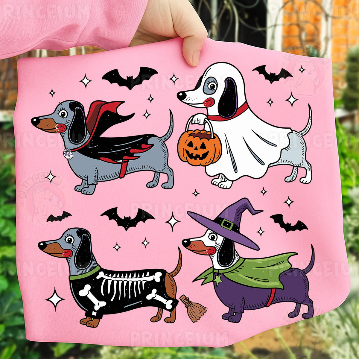 Spooky Dachshund Costume Party