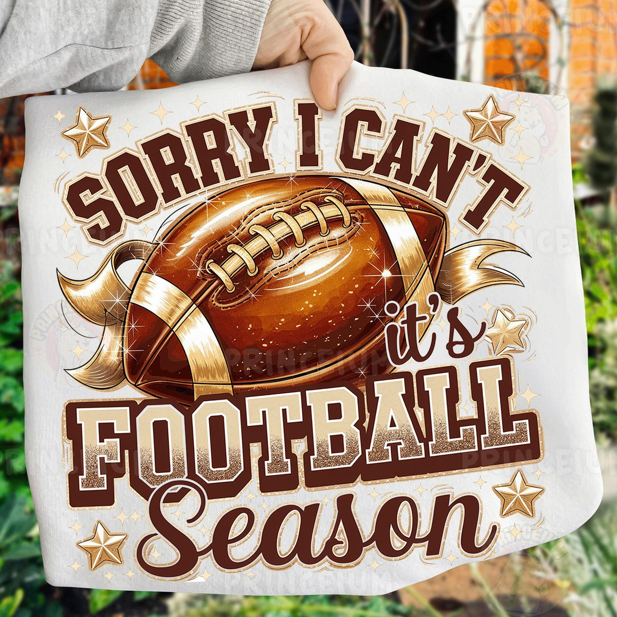 Sorry I Can't It's Football Season