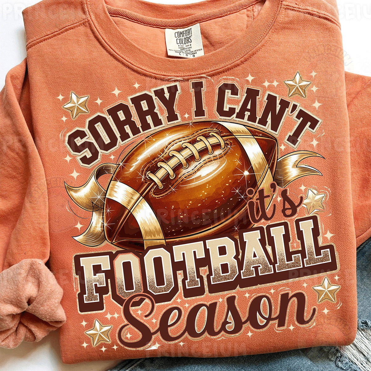Sorry I Can't It's Football Season