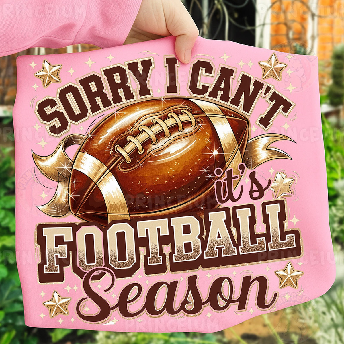 Sorry I Can't It's Football Season
