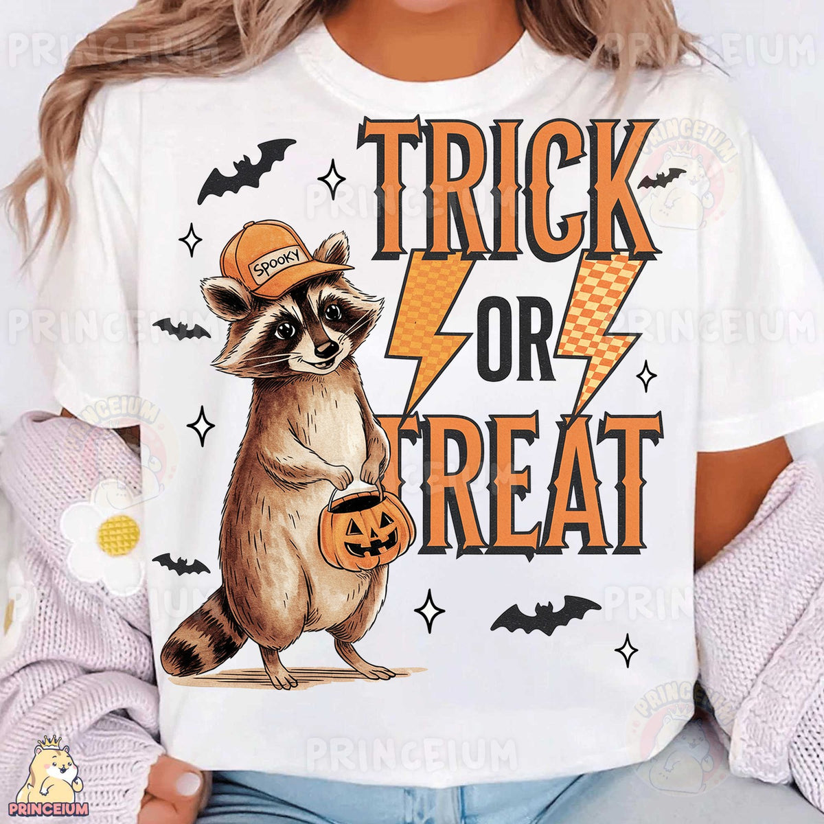 Spooky Raccoon Trick or Treat