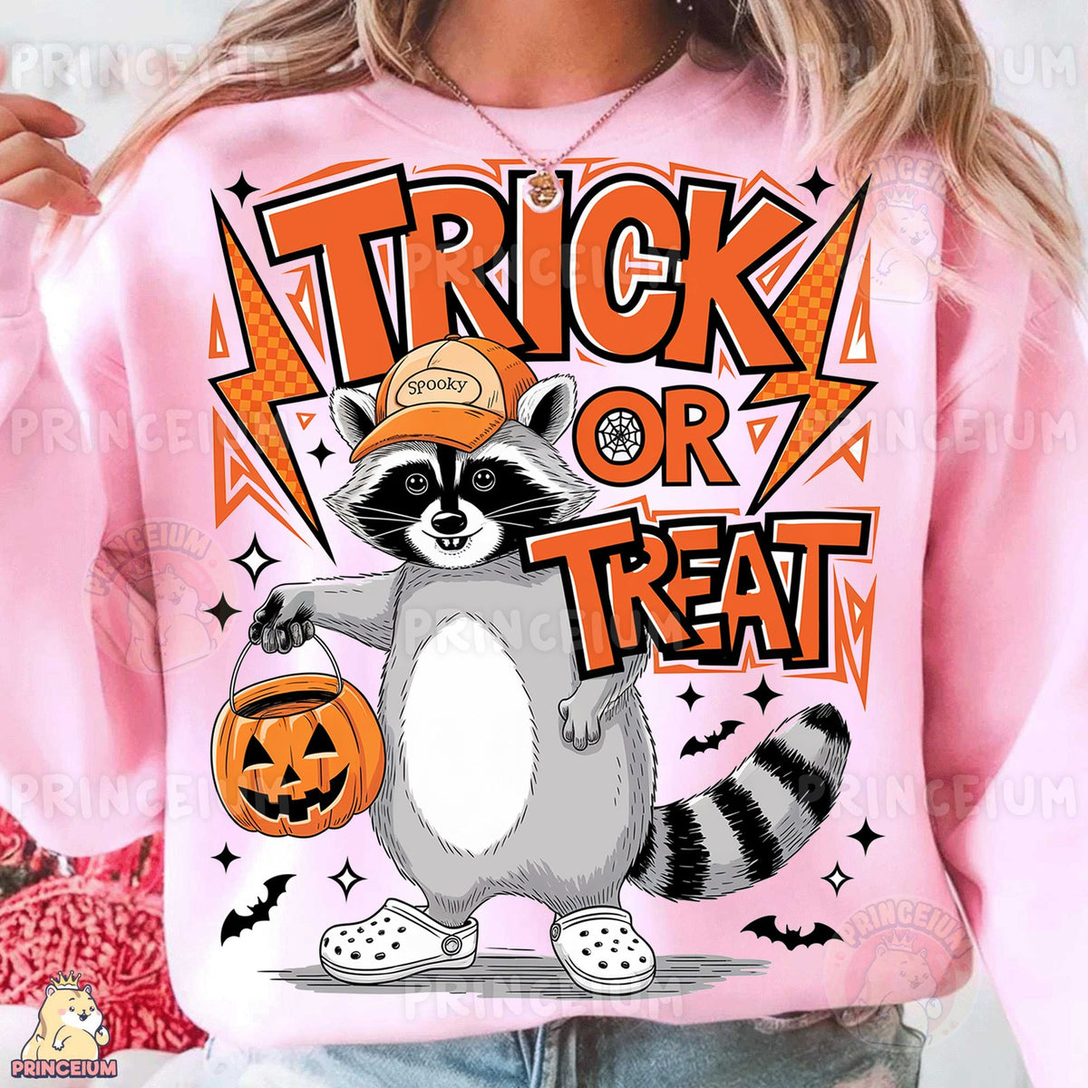 Trick or Treat Raccoon