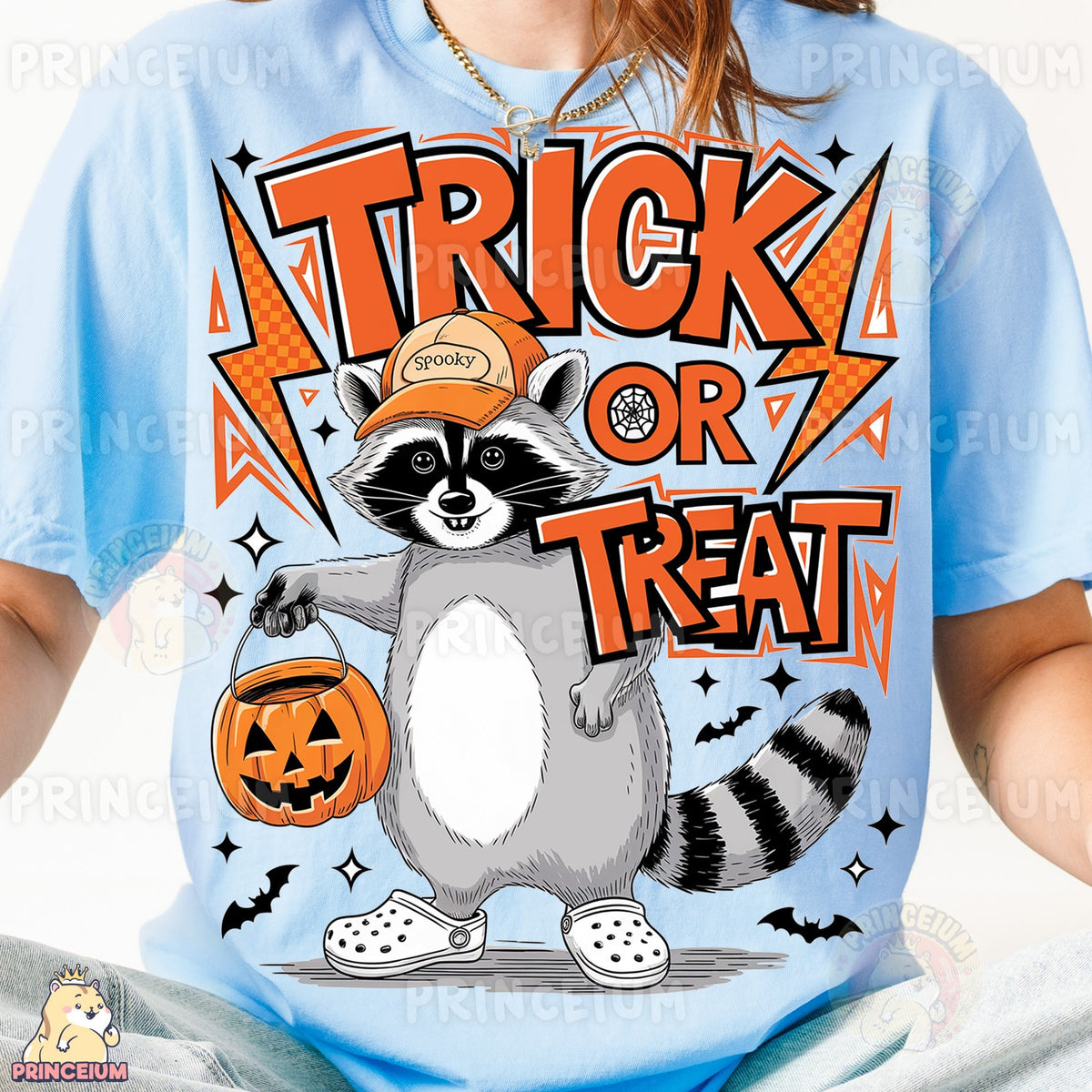 Trick or Treat Raccoon