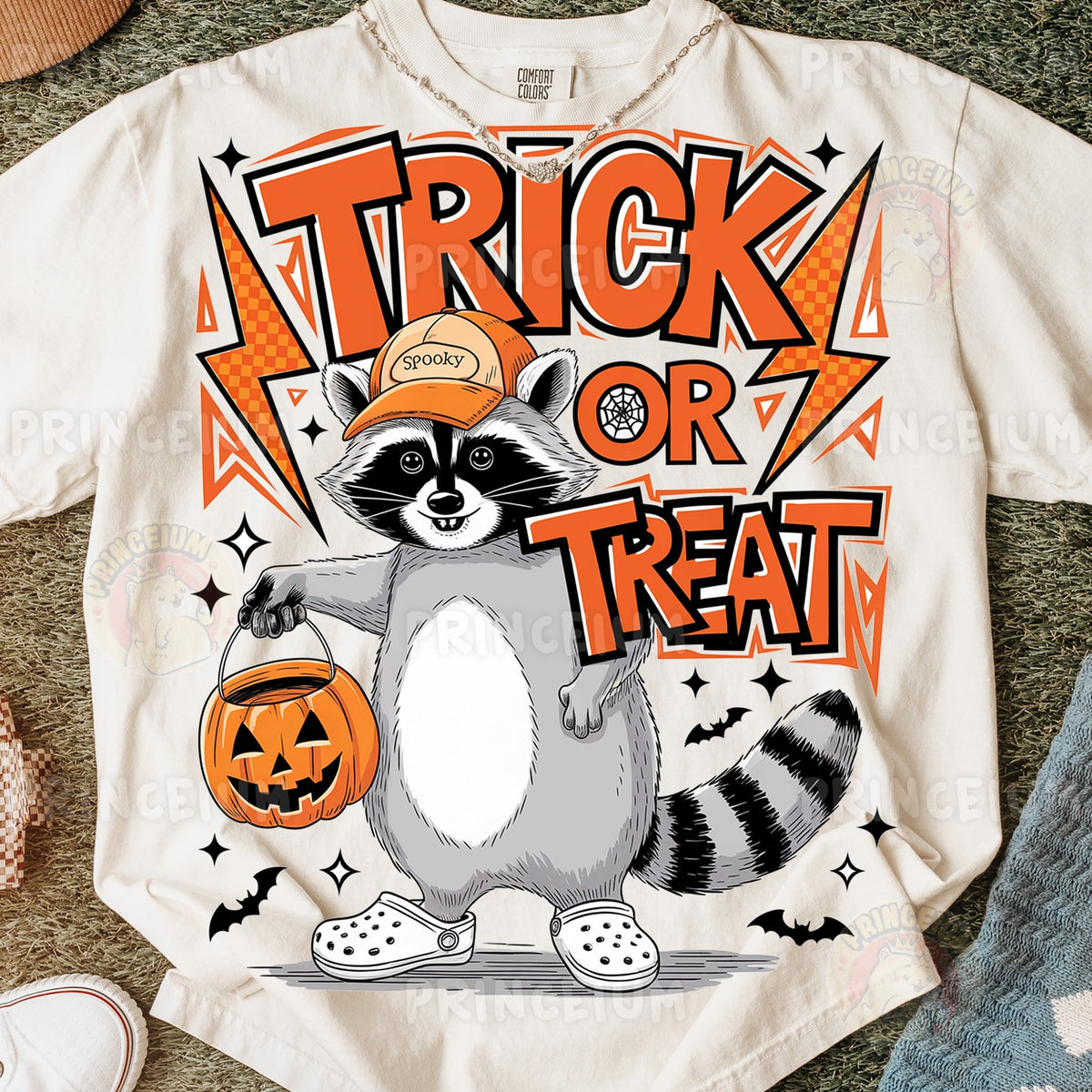 Trick or Treat Raccoon