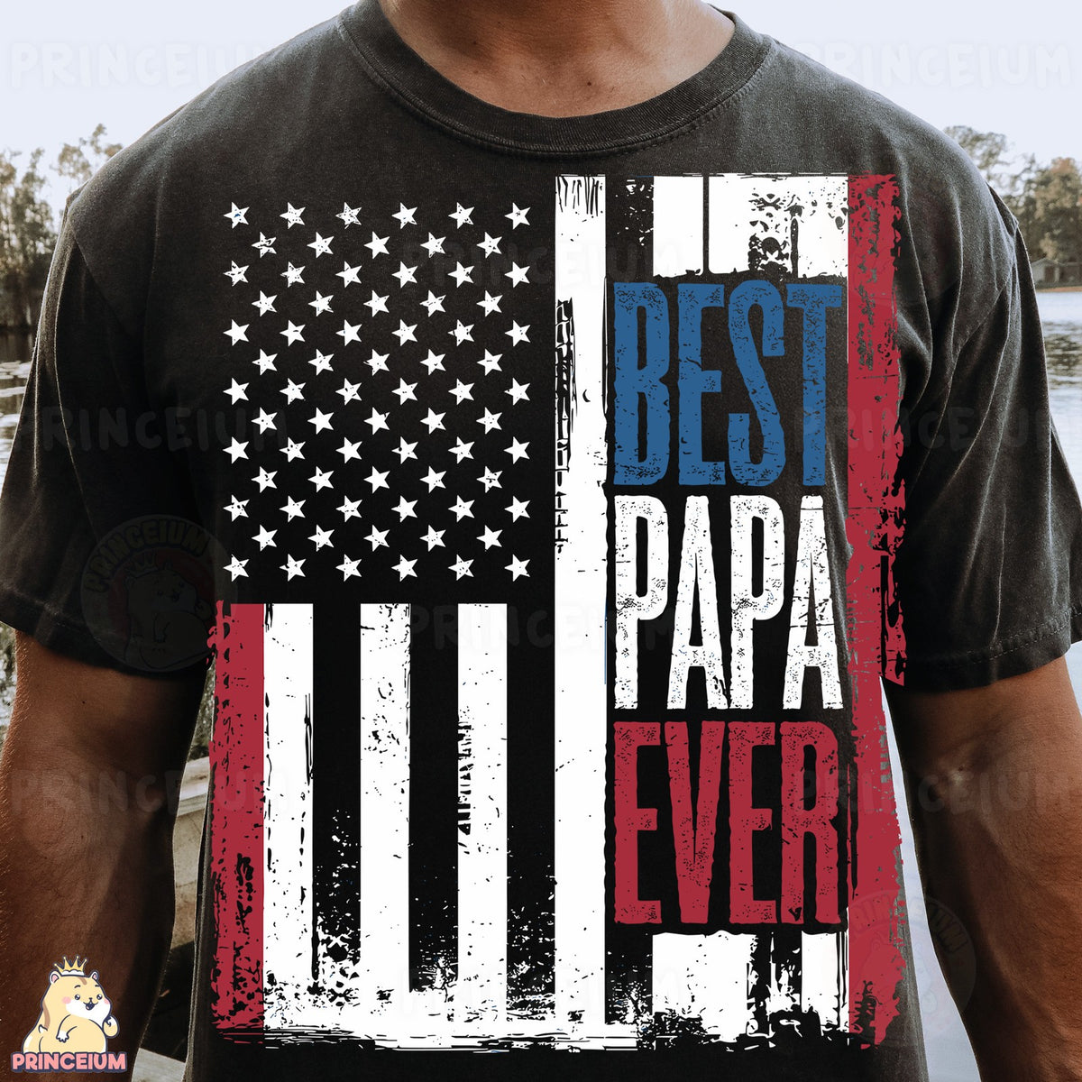 Best Papa Ever American Flag