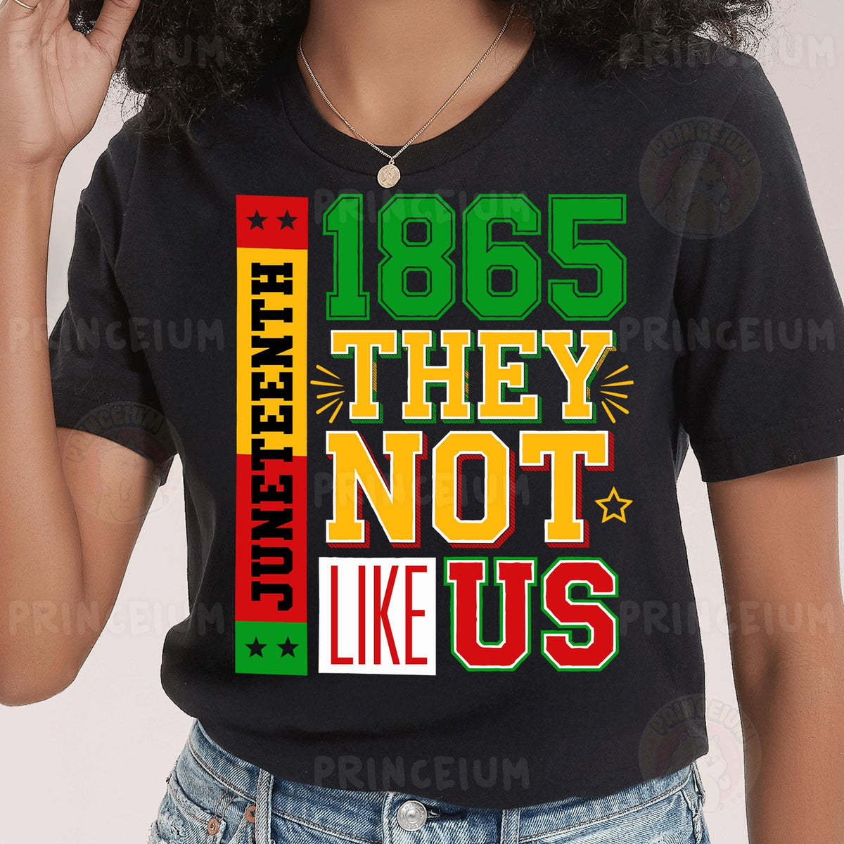 Juneteenth 1865 They Not Like Us