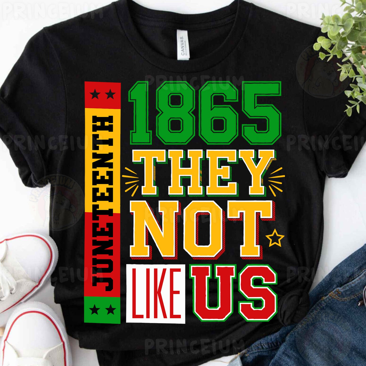 Juneteenth 1865 They Not Like Us
