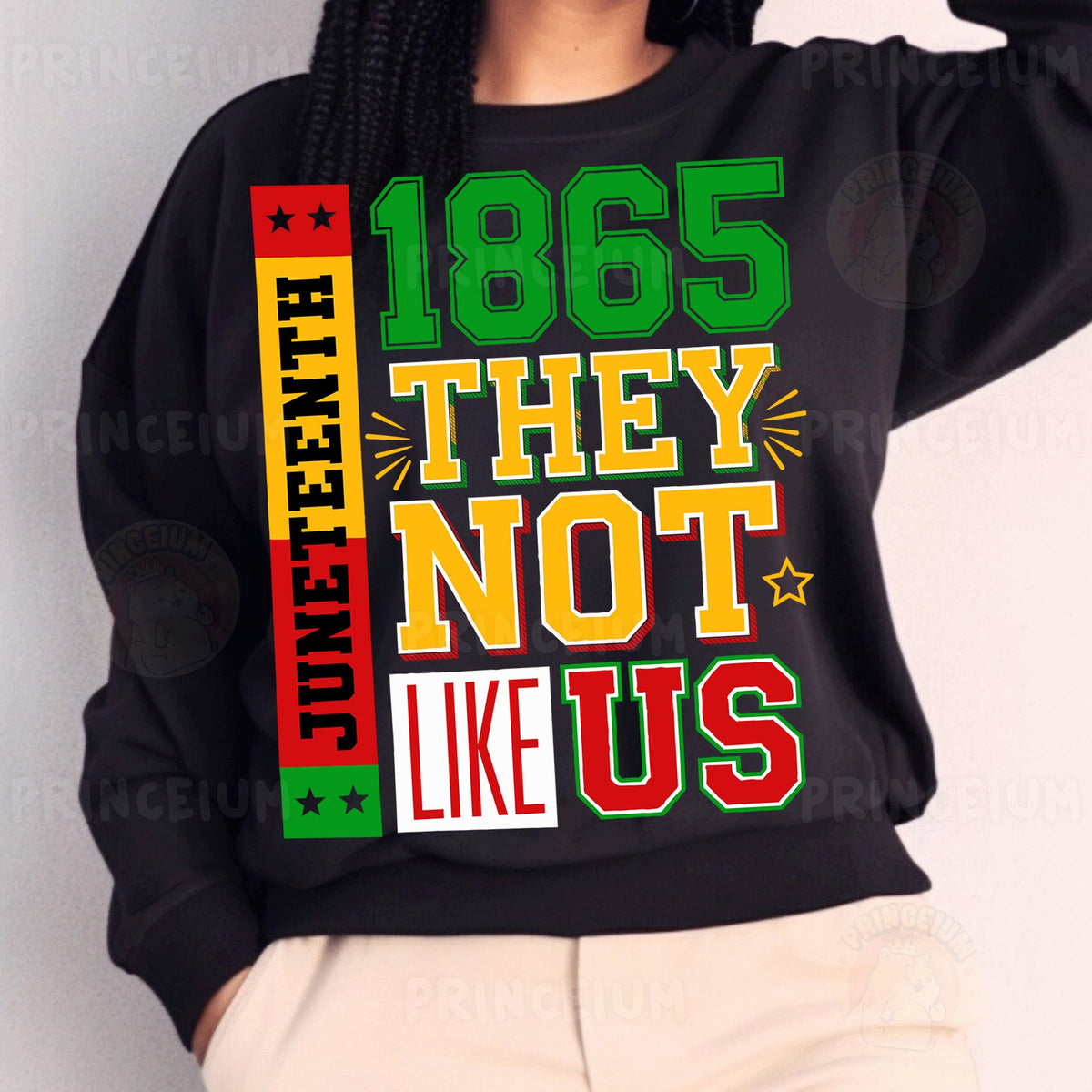 Juneteenth 1865 They Not Like Us