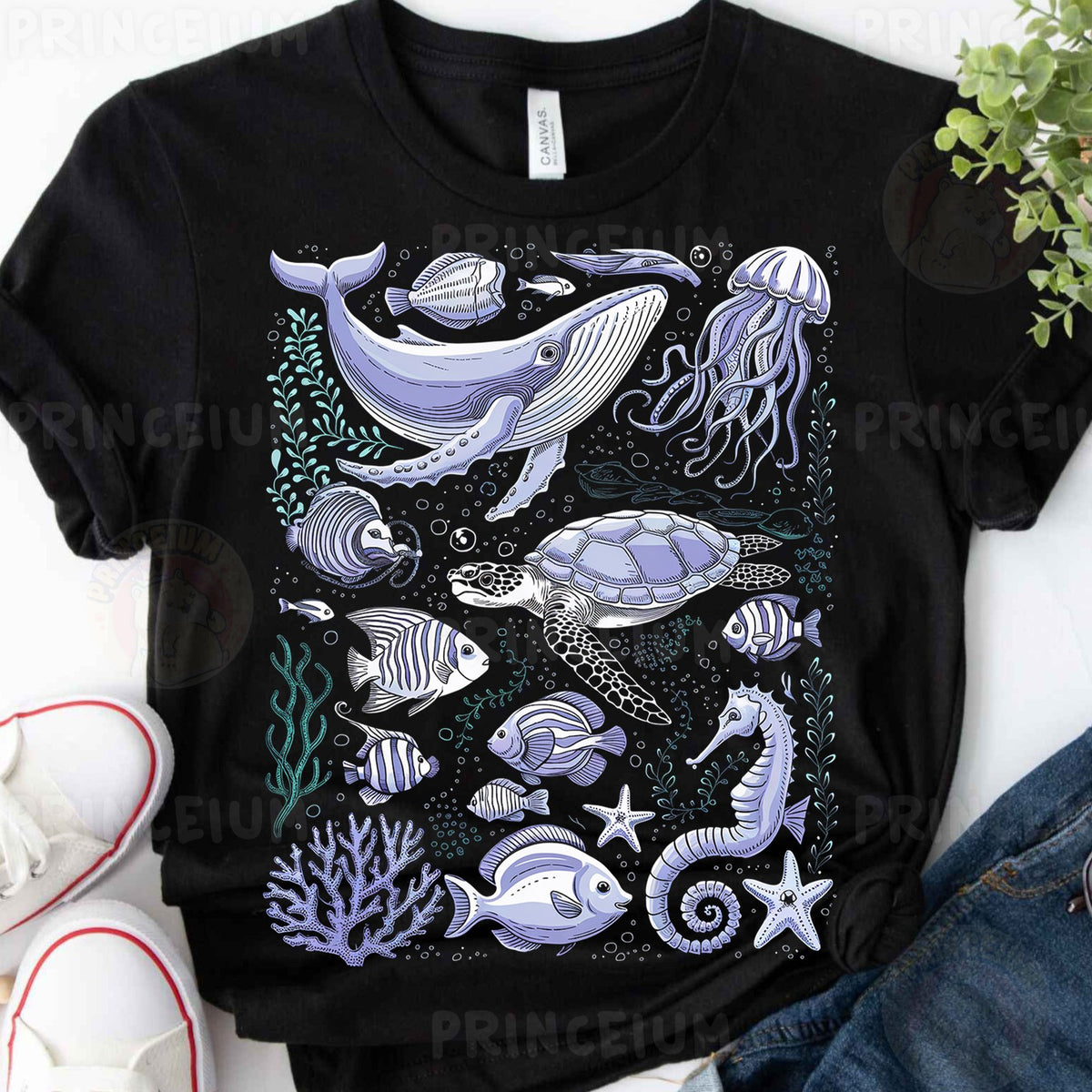 Ocean Life Sea Creatures