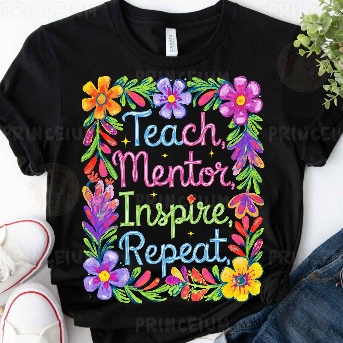 Teach Mentor Inspire Repeat