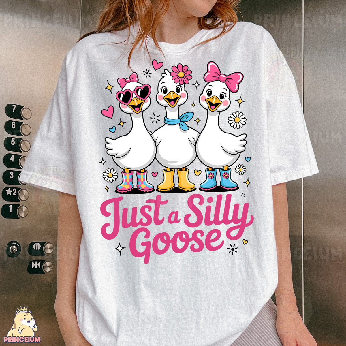 Just a Silly Goose