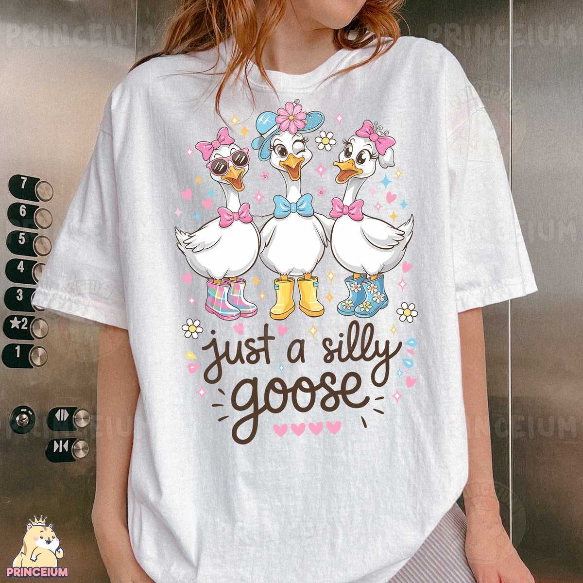 Just a Silly Goose