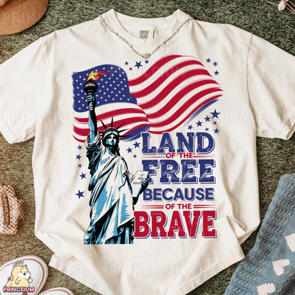 a t - shirt with the statue of liberty on it