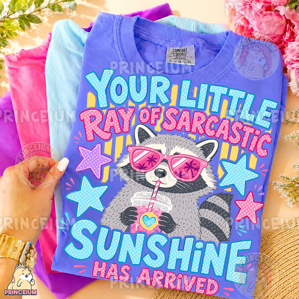 Ray of Sarcastic Sunshine Raccoon