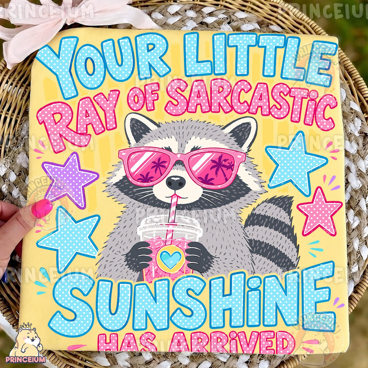 Ray of Sarcastic Sunshine Raccoon