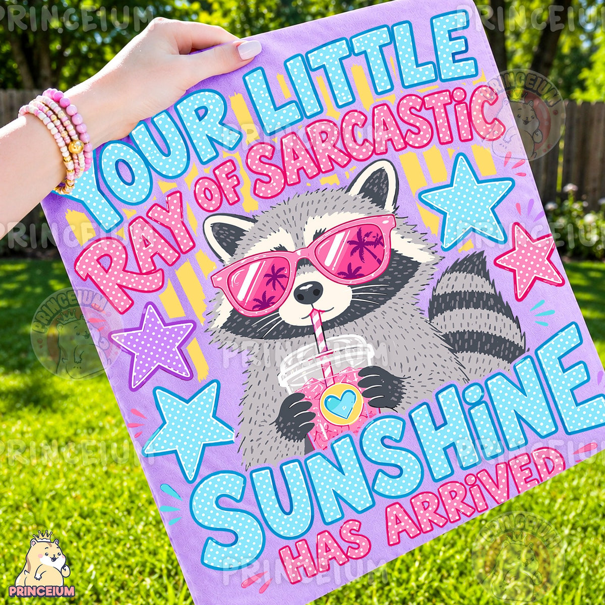 Ray of Sarcastic Sunshine Raccoon