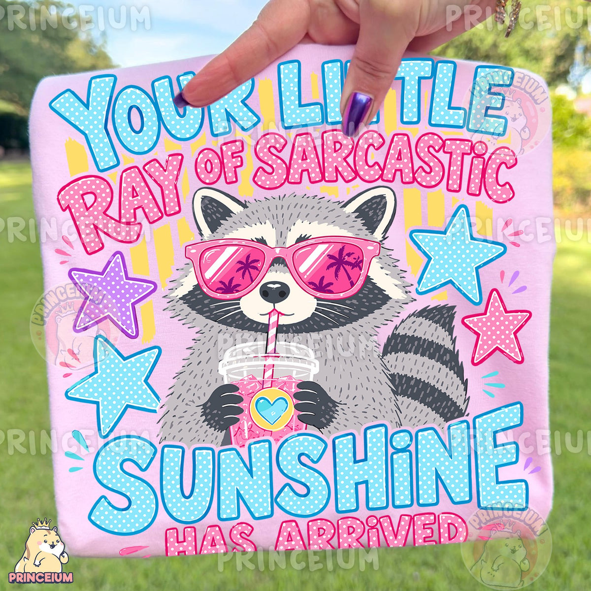 Ray of Sarcastic Sunshine Raccoon