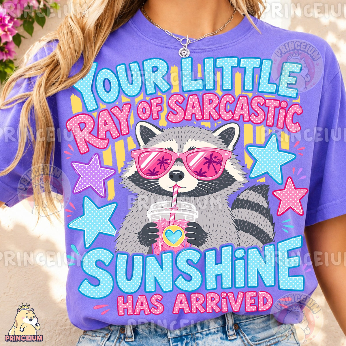 Ray of Sarcastic Sunshine Raccoon
