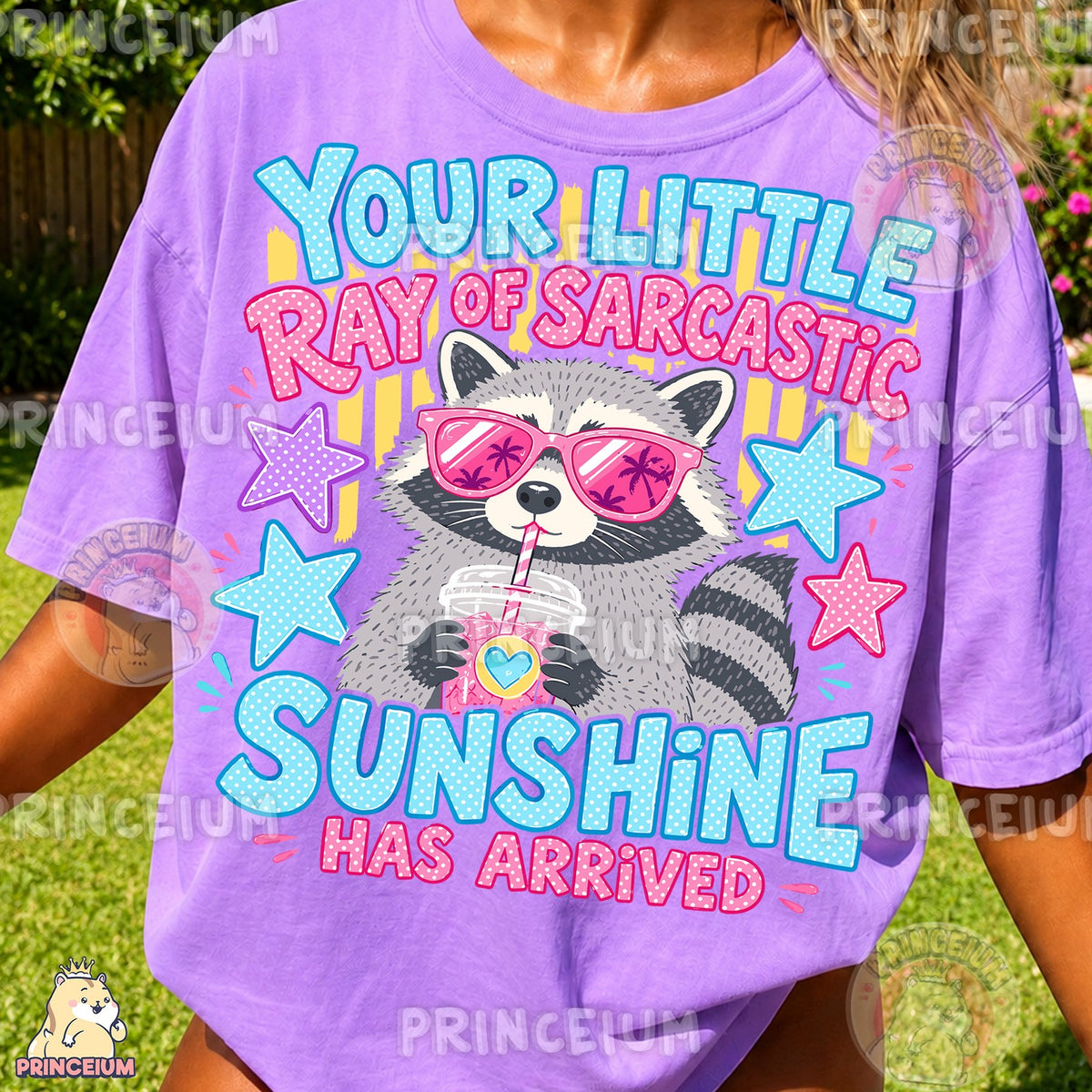 Ray of Sarcastic Sunshine Raccoon