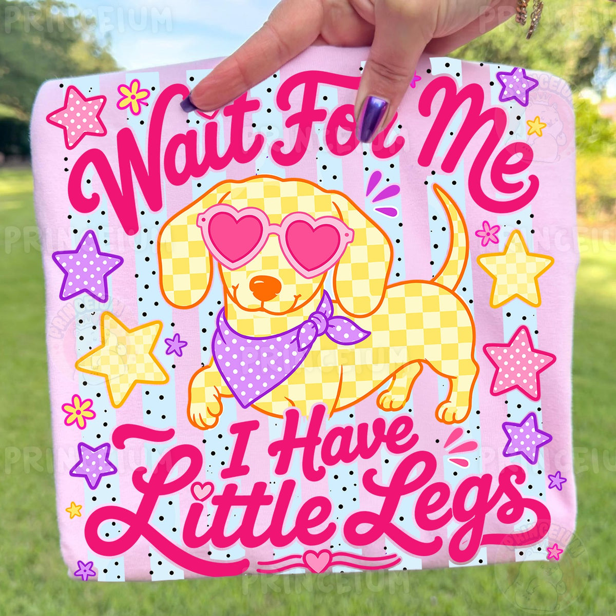 Wait For Me Little Legs Dachshund