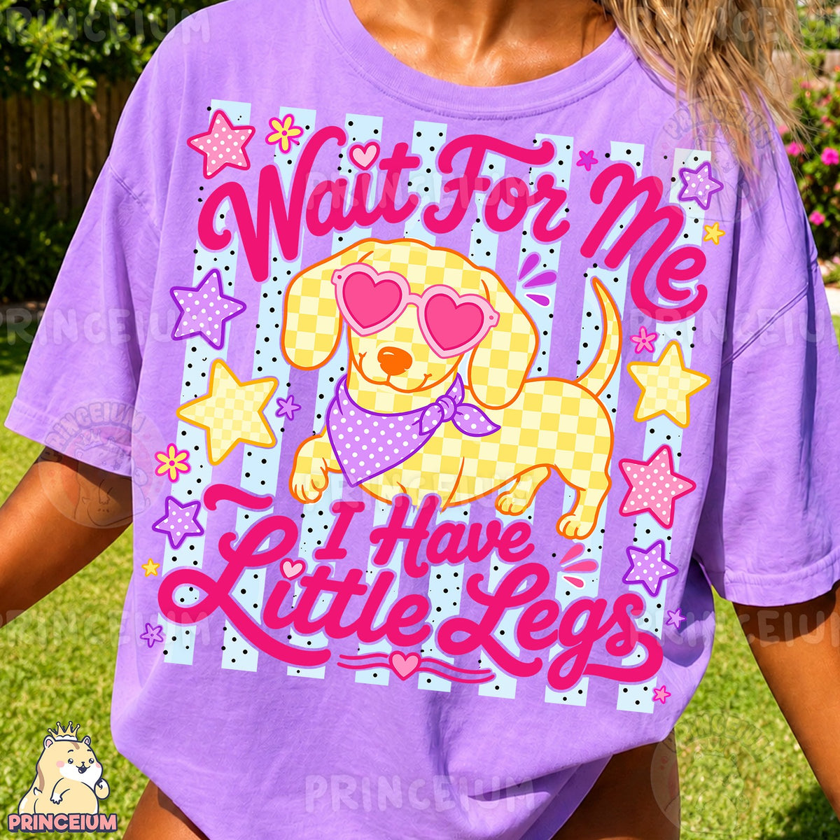 Wait For Me Little Legs Dachshund