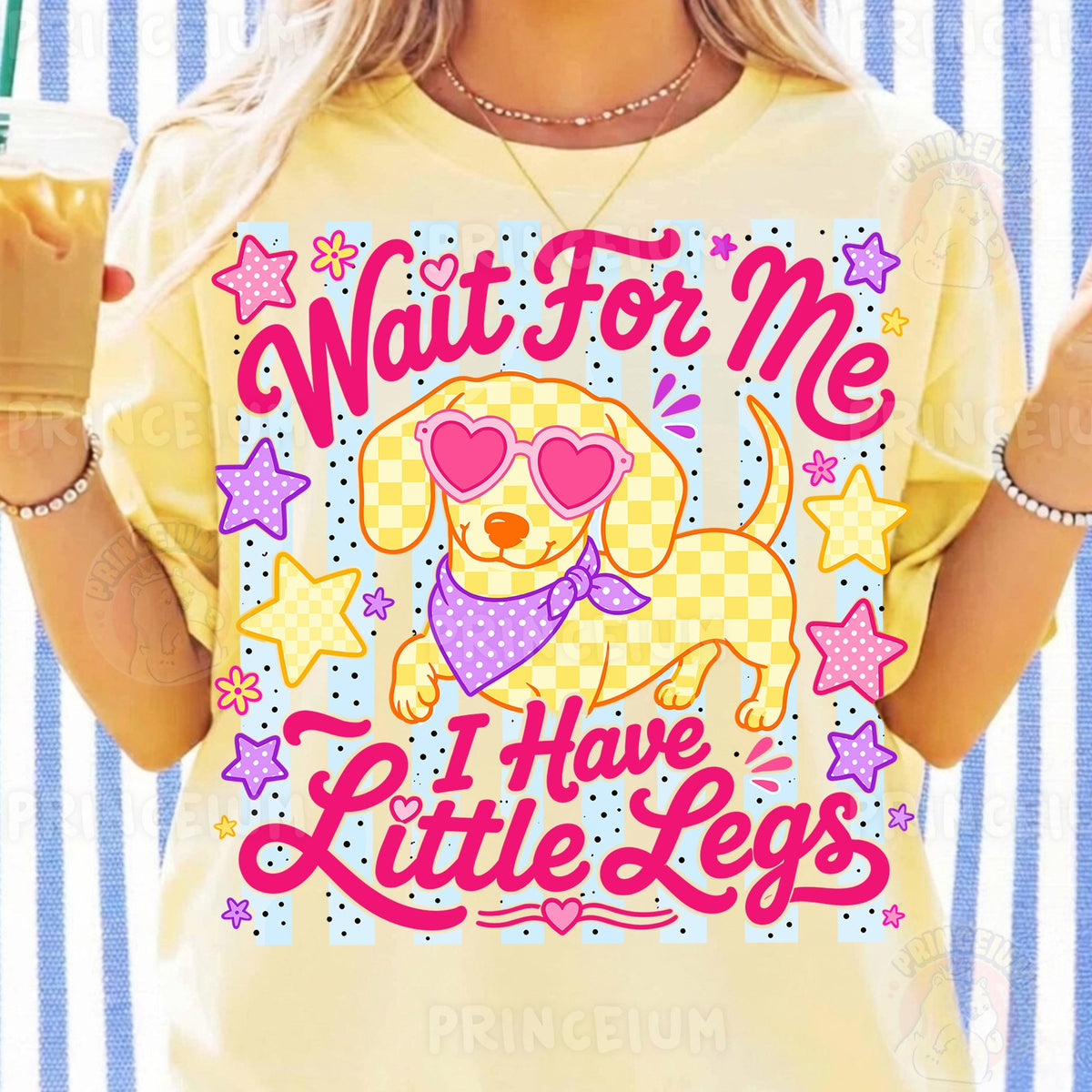 Wait For Me Little Legs Dachshund