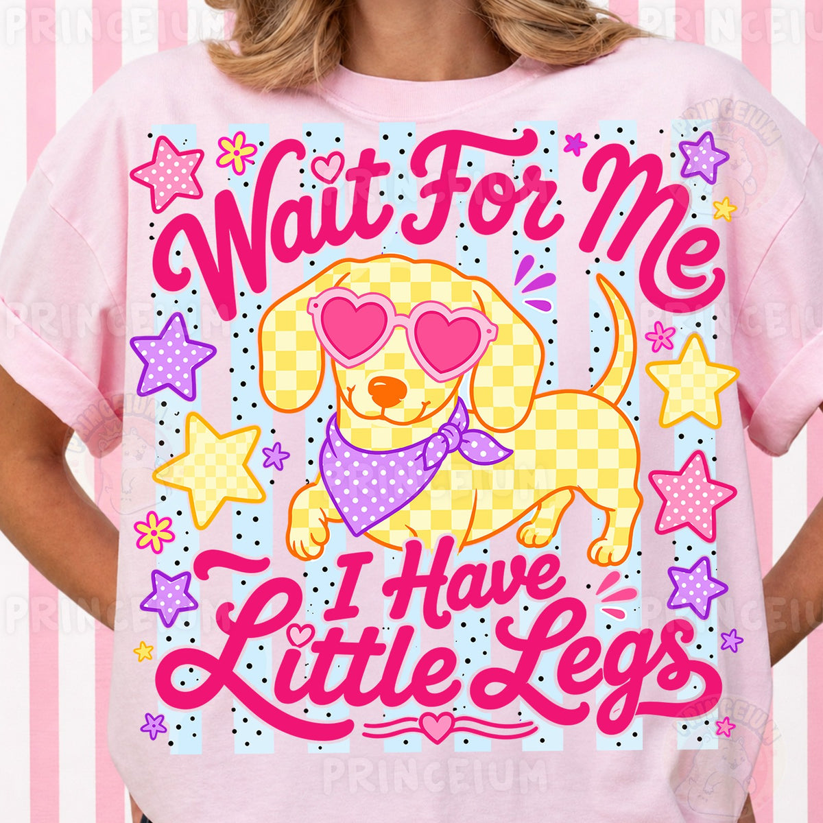 Wait For Me Little Legs Dachshund
