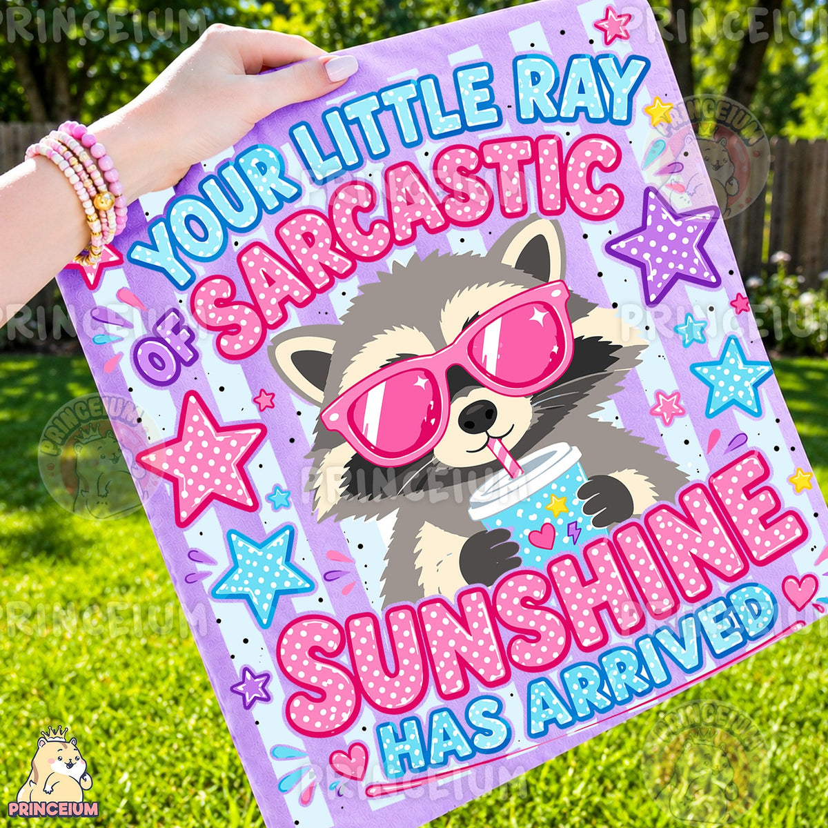 Sarcastic Sunshine Raccoon